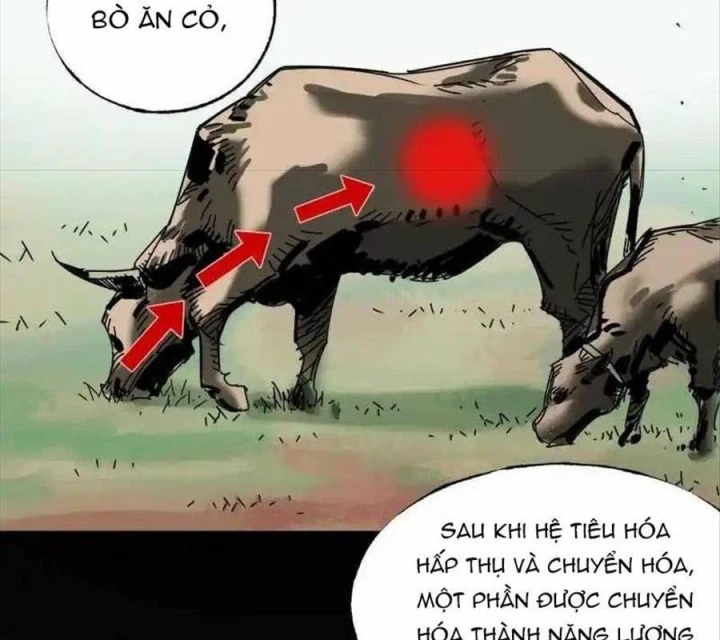 Ác Mộng Bắt Đầu Chapter 35 - Trang 2