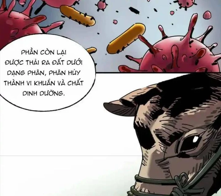 Ác Mộng Bắt Đầu Chapter 35 - Trang 2