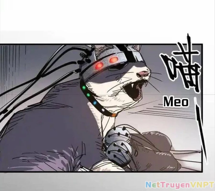 Ác Mộng Bắt Đầu Chapter 35 - Trang 2
