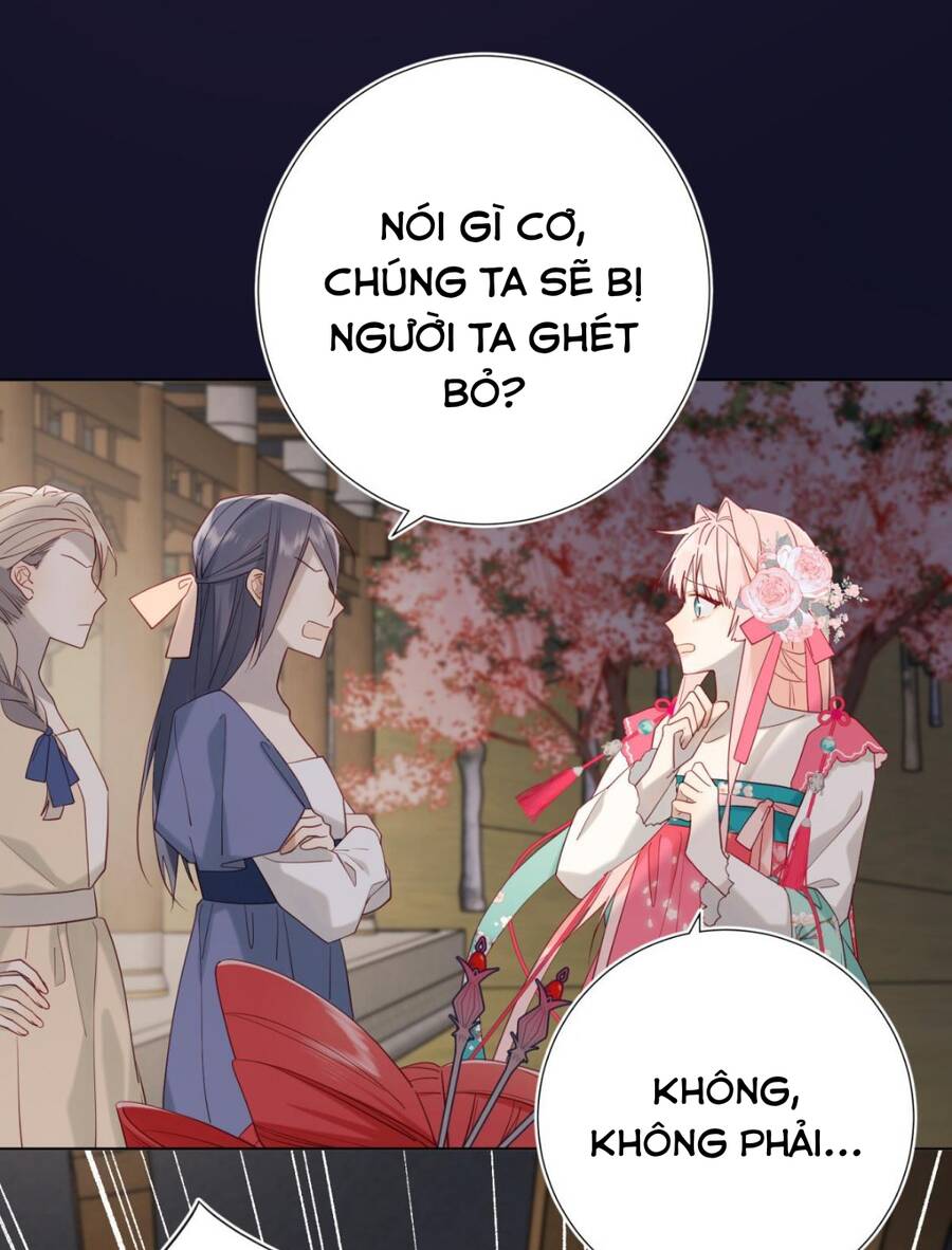 Ác Nữ Cự Tuyệt Cua Nam Chính Chapter 51 - Trang 2