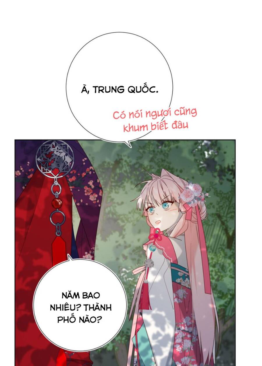 Ác Nữ Cự Tuyệt Cua Nam Chính Chapter 67 - Trang 2