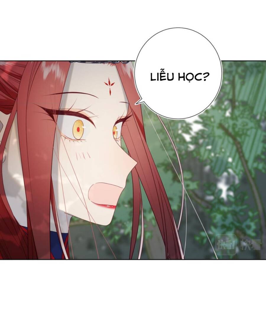 Ác Nữ Cự Tuyệt Cua Nam Chính Chapter 67 - Trang 2