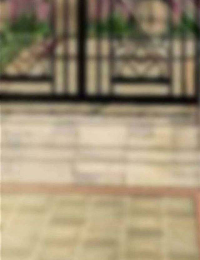 Ái Người Tình Xuất Vu Lam Chapter 69 - Trang 2