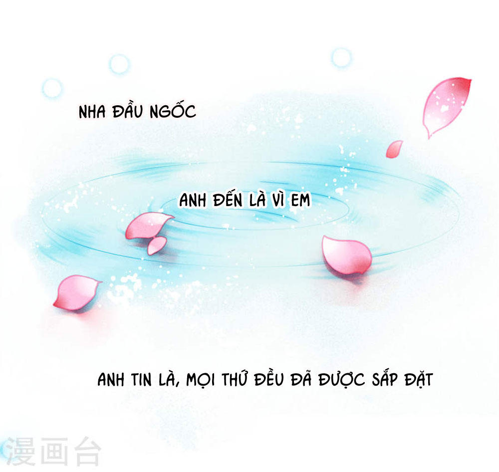 Ái Thượng Vô Địch Tiếu Hoàng Hậu Chapter 39 - Trang 2