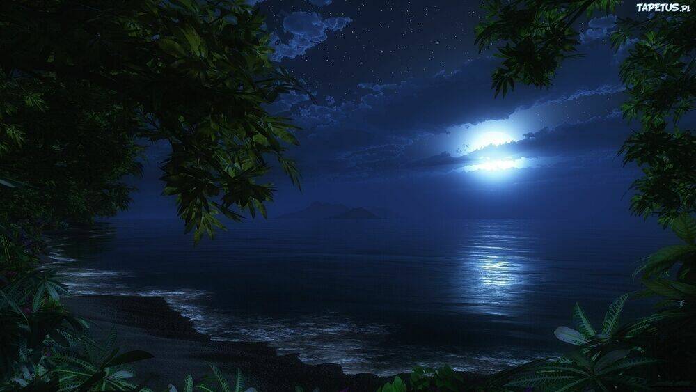 Album Natural Wallpapers Chapter 1 - Trang 2