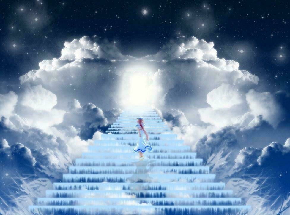 Album Natural Wallpapers Chapter 1 - Trang 2