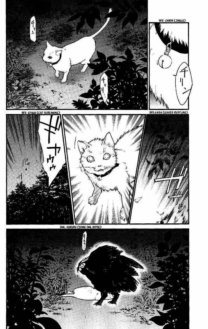 Alive – The Final Evolution Chapter 19 - Trang 2