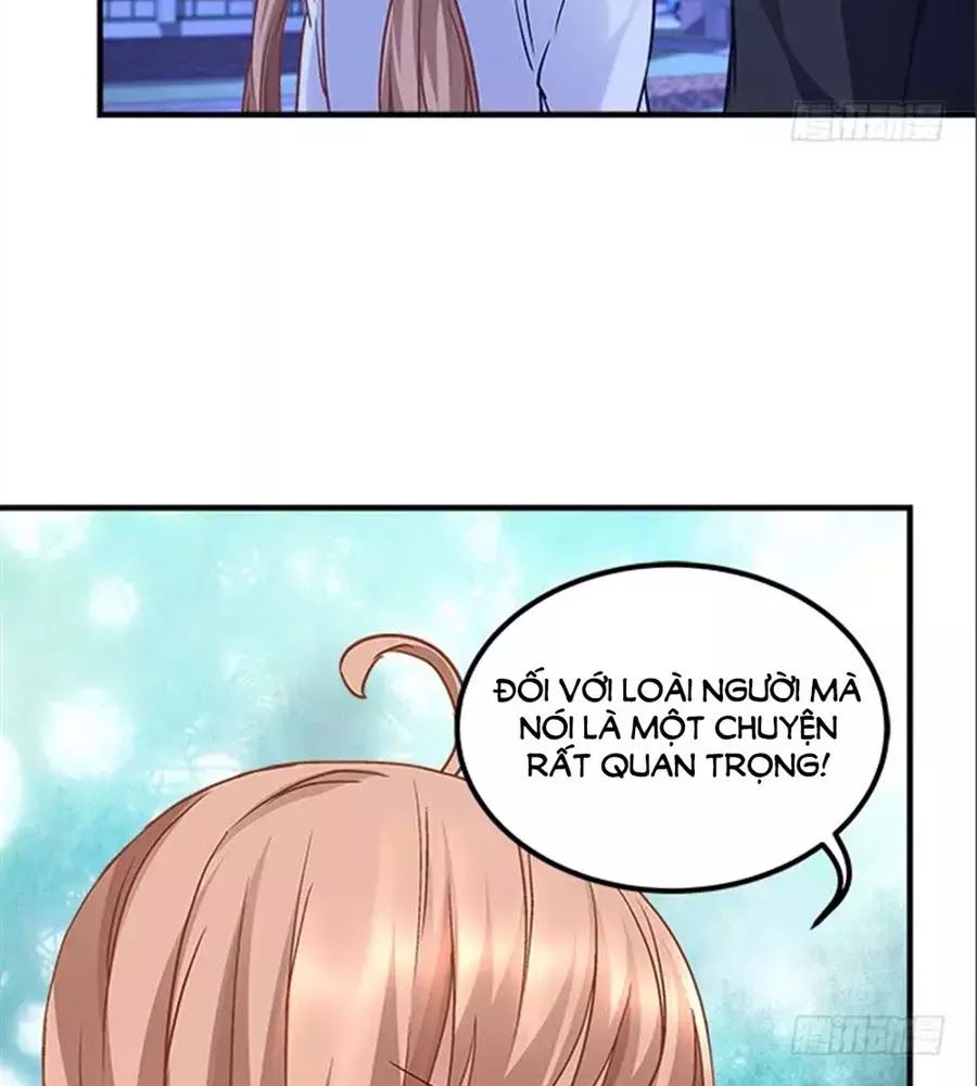 Ám Dạ Vô Thường Chapter 37 - Trang 2