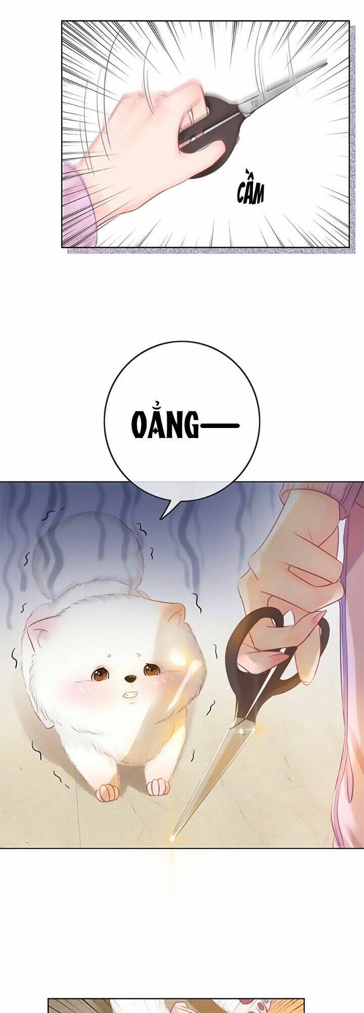 Ám Hắc Hệ Noãn Hôn Chapter 21 - Trang 2