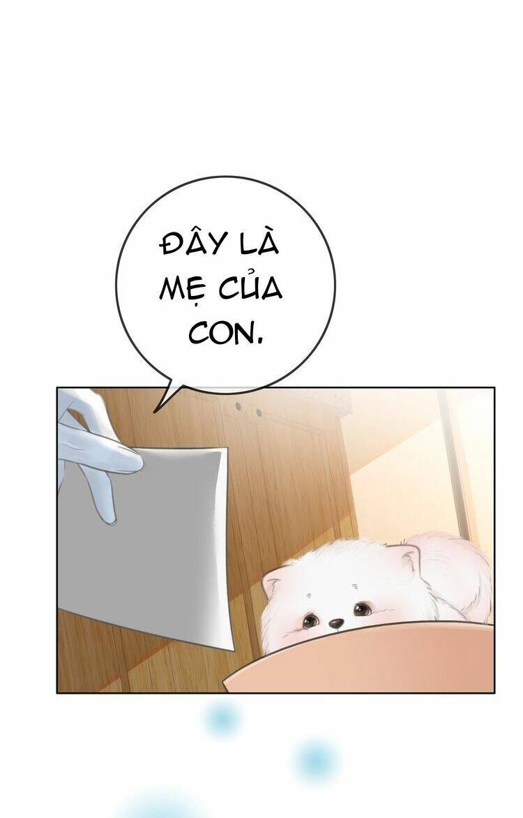 Ám Hắc Hệ Noãn Hôn Chapter 3 - Trang 2