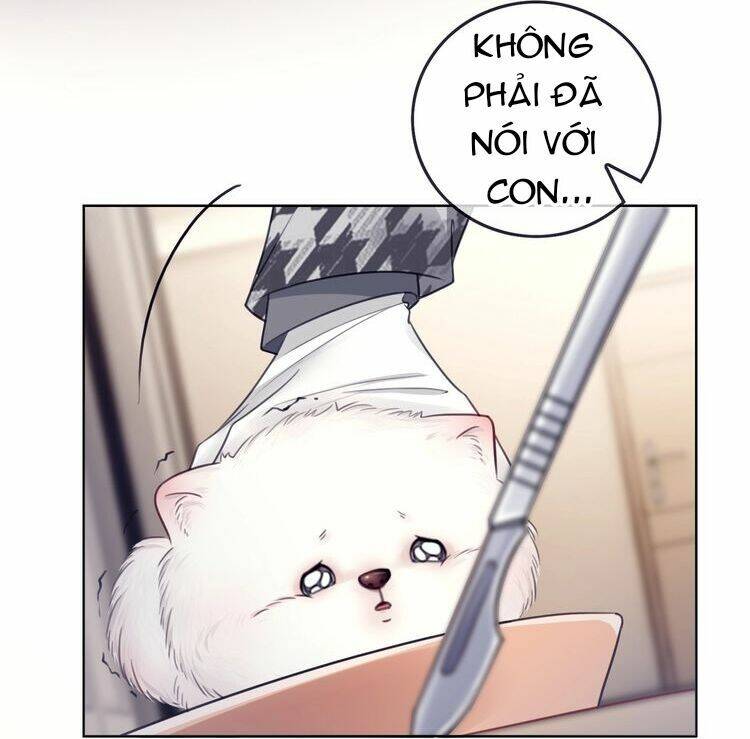 Ám Hắc Hệ Noãn Hôn Chapter 3 - Trang 2