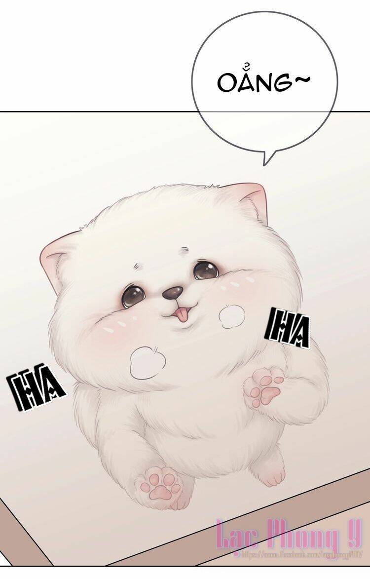 Ám Hắc Hệ Noãn Hôn Chapter 3 - Trang 2