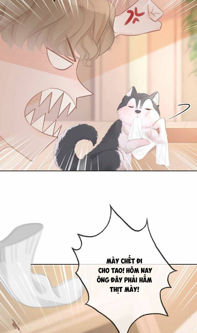 Ám Hắc Hệ Noãn Hôn Chapter 33 - Trang 2