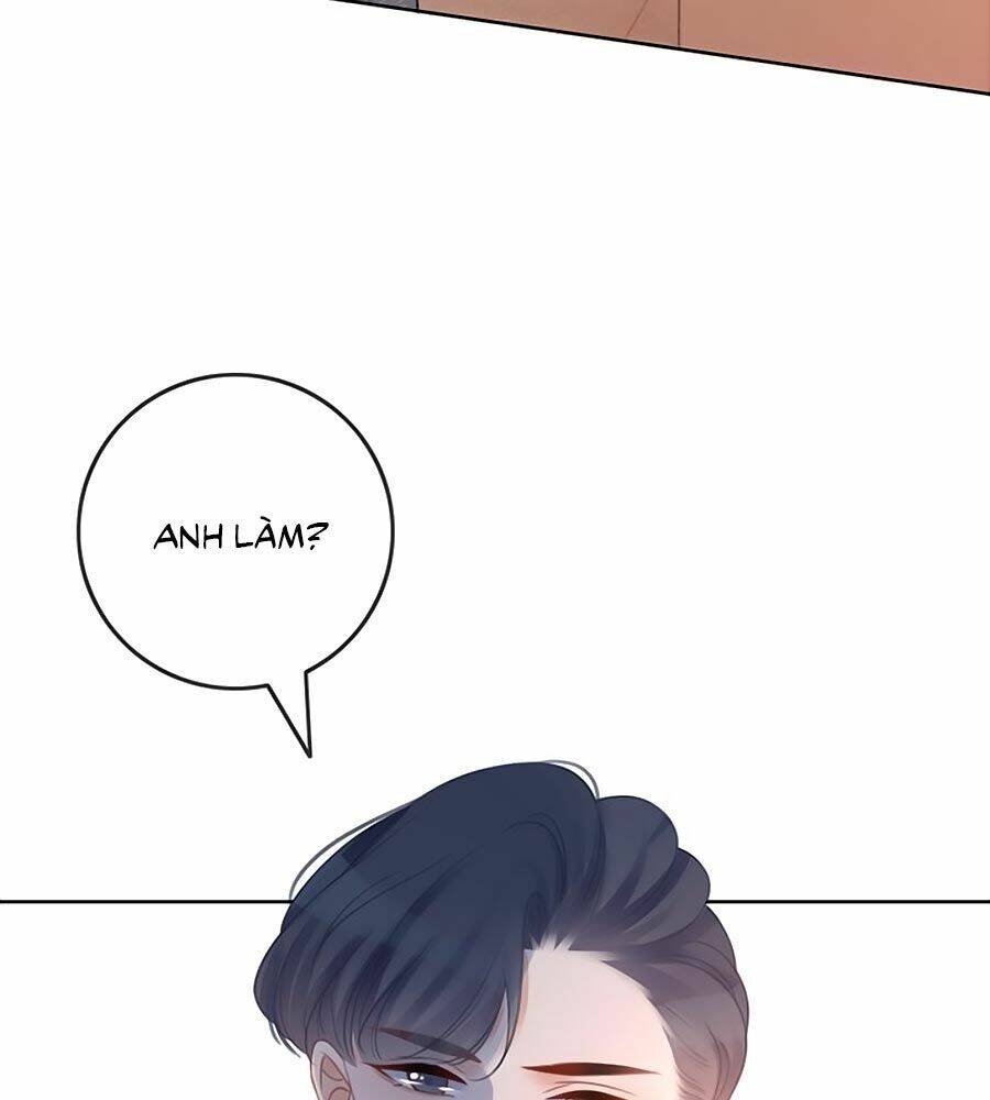 Ám Hắc Hệ Noãn Hôn Chapter 60 - Trang 2