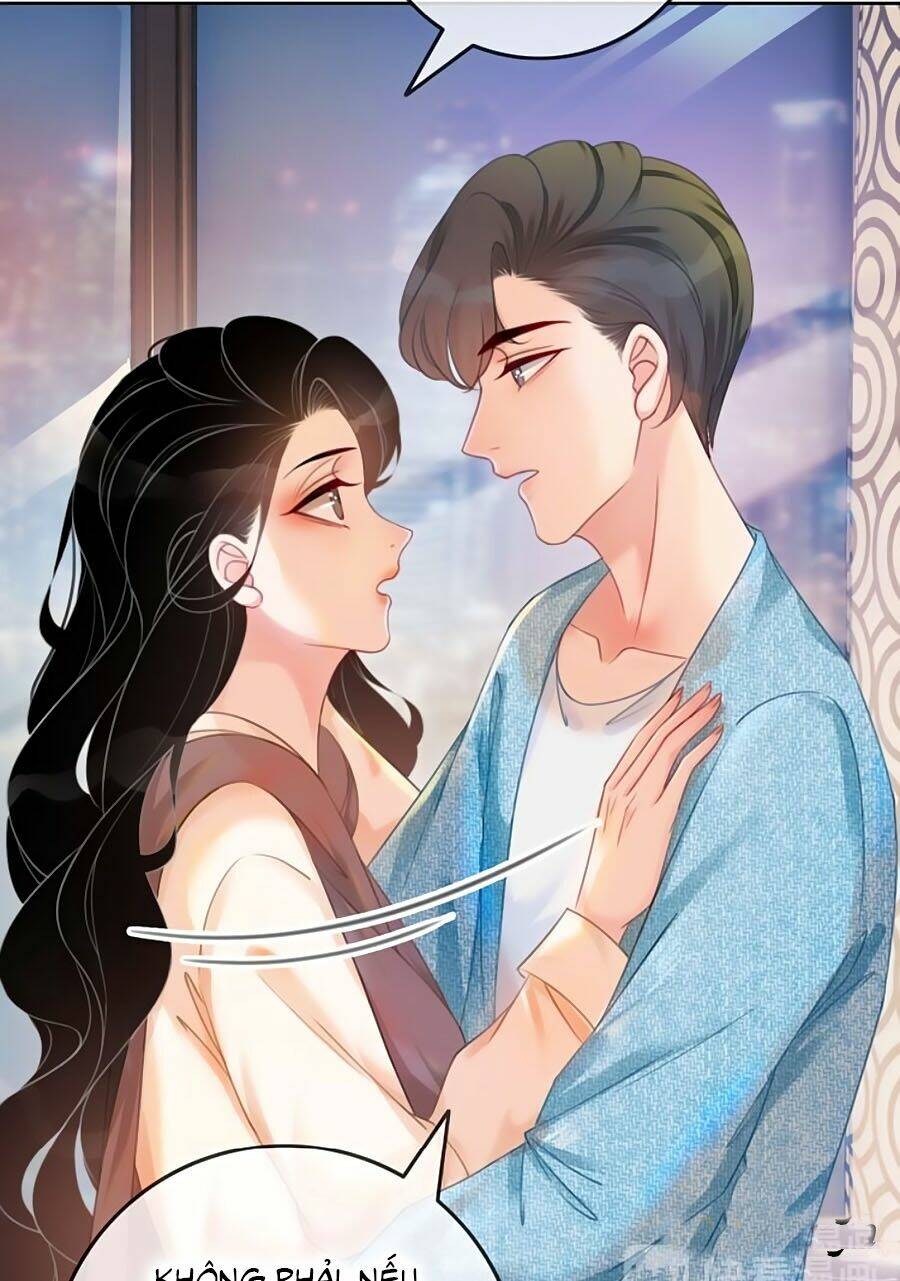 Ám Hắc Hệ Noãn Hôn Chapter 70 - Trang 2