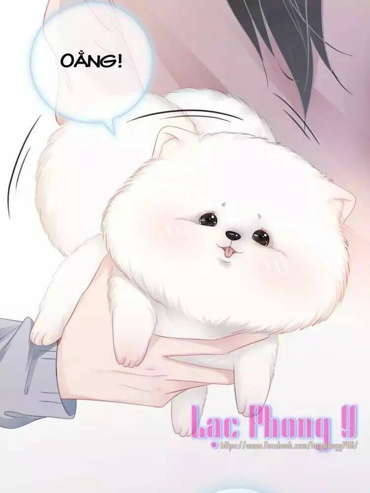 Ám Hắc Hệ Noãn Hôn Chapter 8 - Trang 2