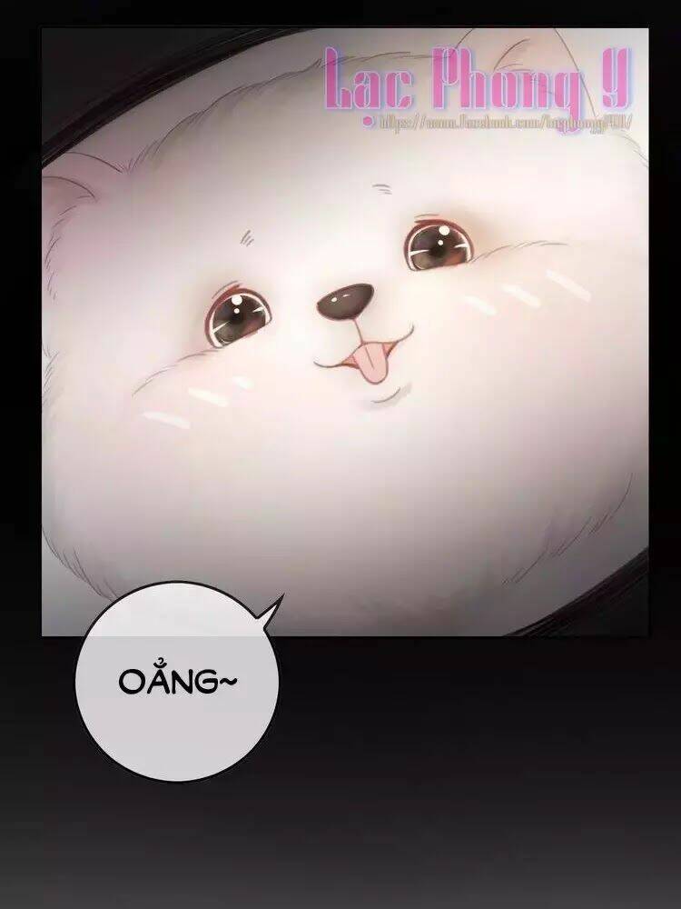 Ám Hắc Hệ Noãn Hôn Chapter 8 - Trang 2
