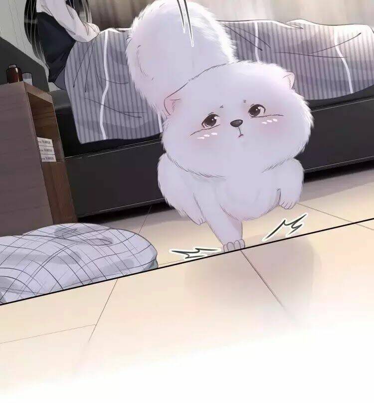 Ám Hắc Hệ Noãn Hôn Chapter 8 - Trang 2