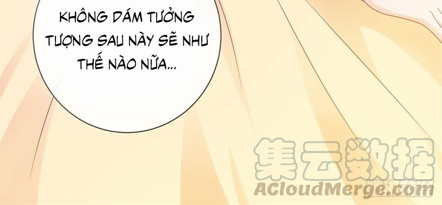 Ẩn Hôn 100%: Chọc Tức Vợ Yêu Mua Một Tặng Một Chapter 100 - Trang 2