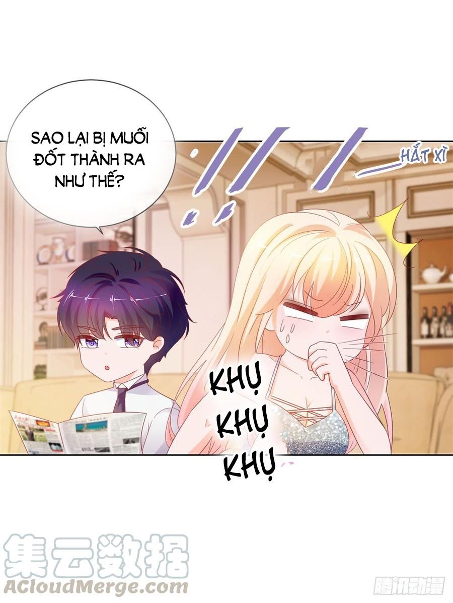 Ẩn Hôn 100%: Chọc Tức Vợ Yêu Mua Một Tặng Một Chapter 102 - Trang 2