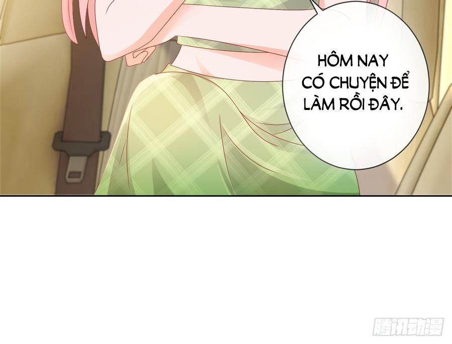 Ẩn Hôn 100%: Chọc Tức Vợ Yêu Mua Một Tặng Một Chapter 103 - Trang 2