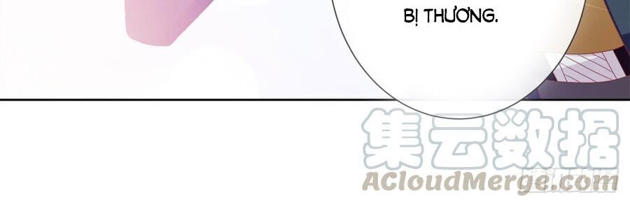 Ẩn Hôn 100%: Chọc Tức Vợ Yêu Mua Một Tặng Một Chapter 107 - Trang 2