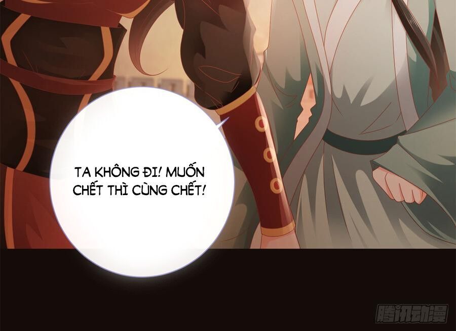 Ẩn Hôn 100%: Chọc Tức Vợ Yêu Mua Một Tặng Một Chapter 110 - Trang 2