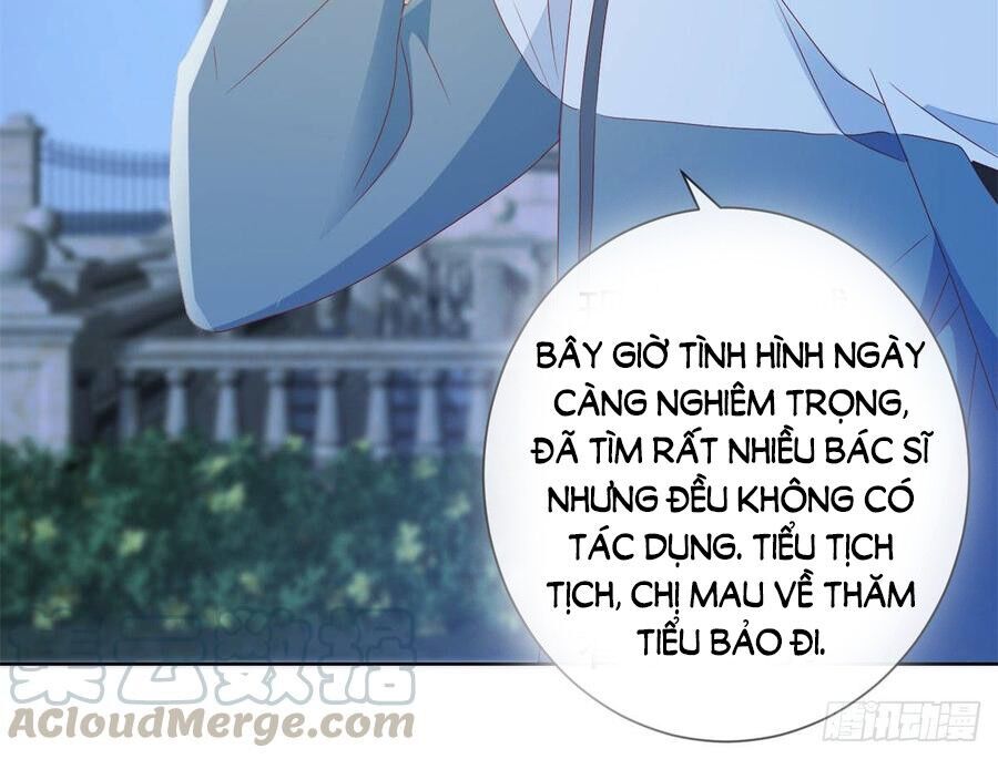 Ẩn Hôn 100%: Chọc Tức Vợ Yêu Mua Một Tặng Một Chapter 120 - Trang 2