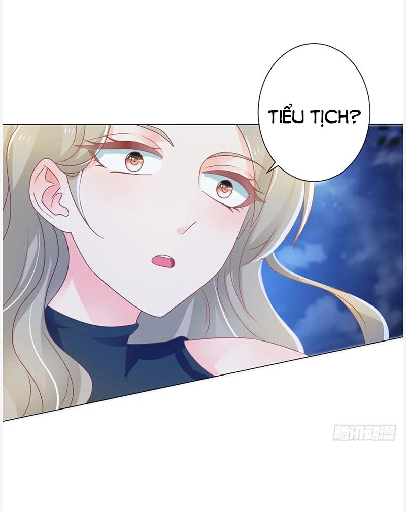 Ẩn Hôn 100%: Chọc Tức Vợ Yêu Mua Một Tặng Một Chapter 157 - Trang 2