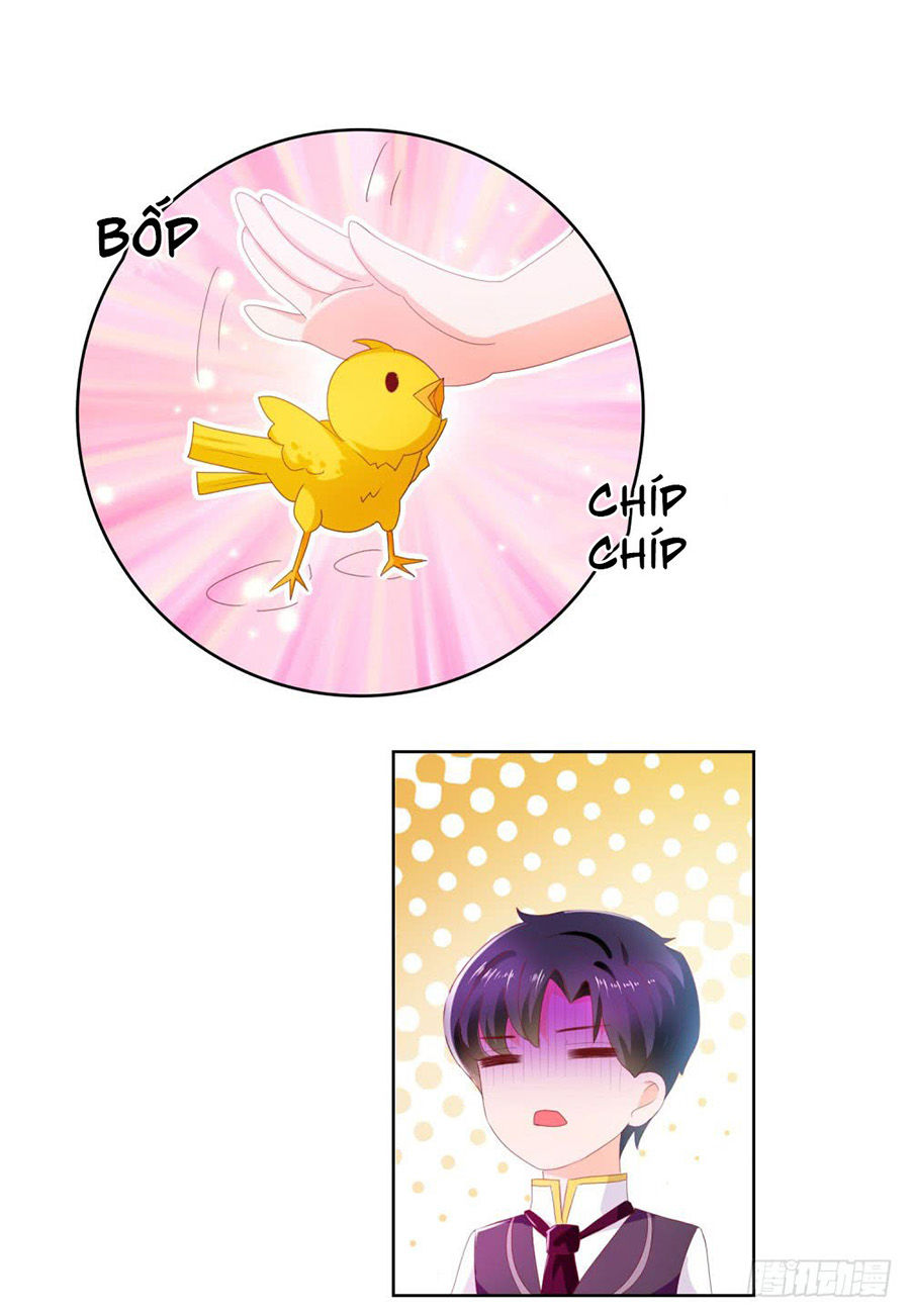 Ẩn Hôn 100%: Chọc Tức Vợ Yêu Mua Một Tặng Một Chapter 17 - Trang 2