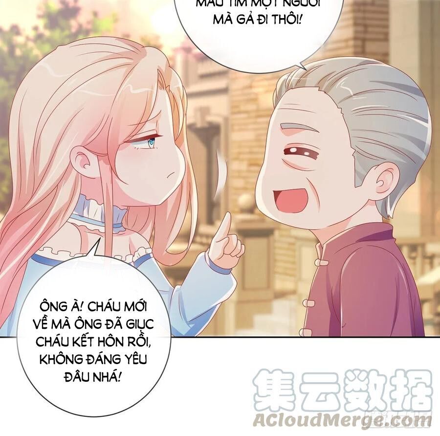 Ẩn Hôn 100%: Chọc Tức Vợ Yêu Mua Một Tặng Một Chapter 171 - Trang 2