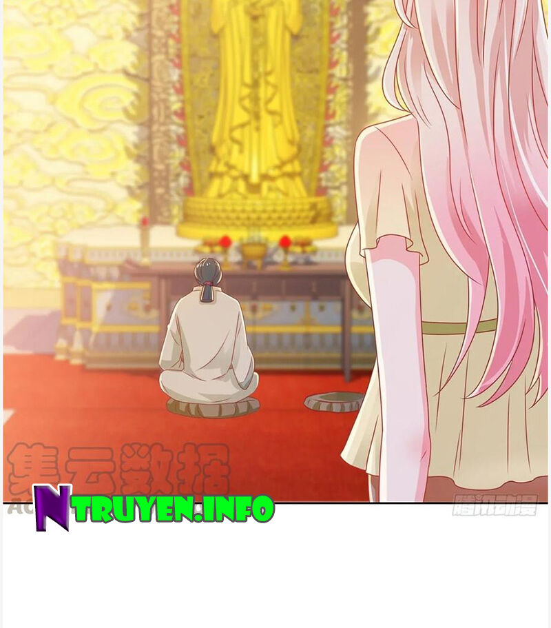 Ẩn Hôn 100%: Chọc Tức Vợ Yêu Mua Một Tặng Một Chapter 177 - Trang 2