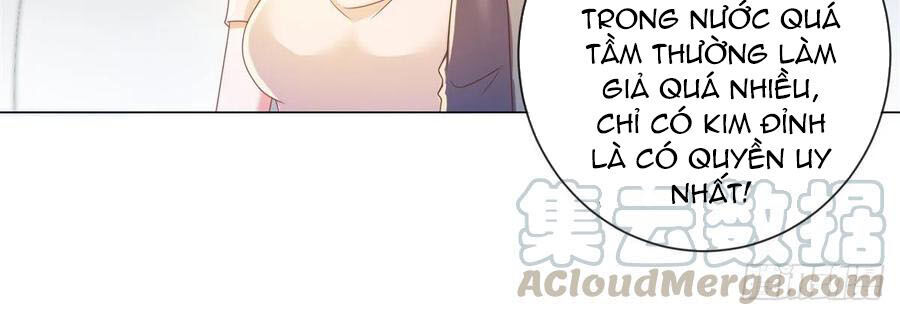 Ẩn Hôn 100%: Chọc Tức Vợ Yêu Mua Một Tặng Một Chapter 183 - Trang 2