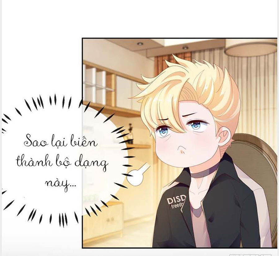 Ẩn Hôn 100%: Chọc Tức Vợ Yêu Mua Một Tặng Một Chapter 31 - Trang 2