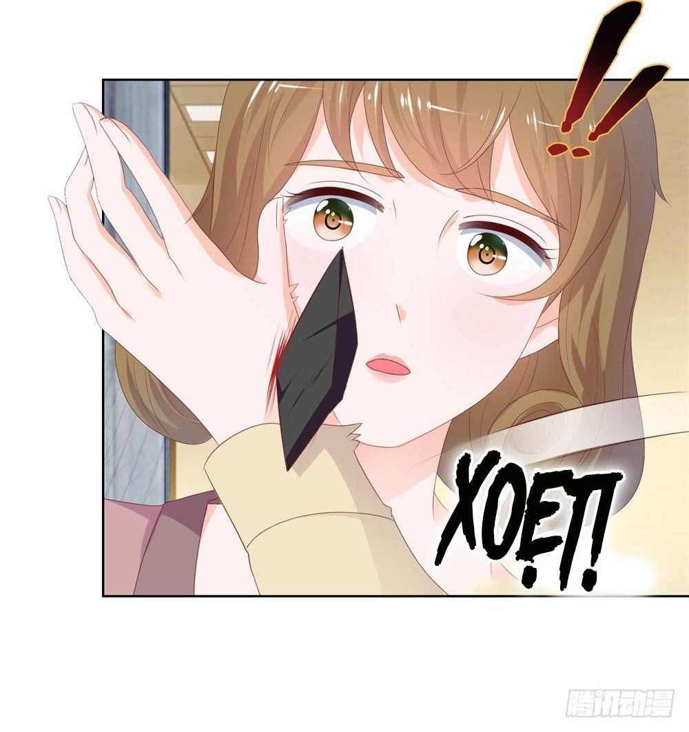 Ẩn Hôn 100%: Chọc Tức Vợ Yêu Mua Một Tặng Một Chapter 39 - Trang 2