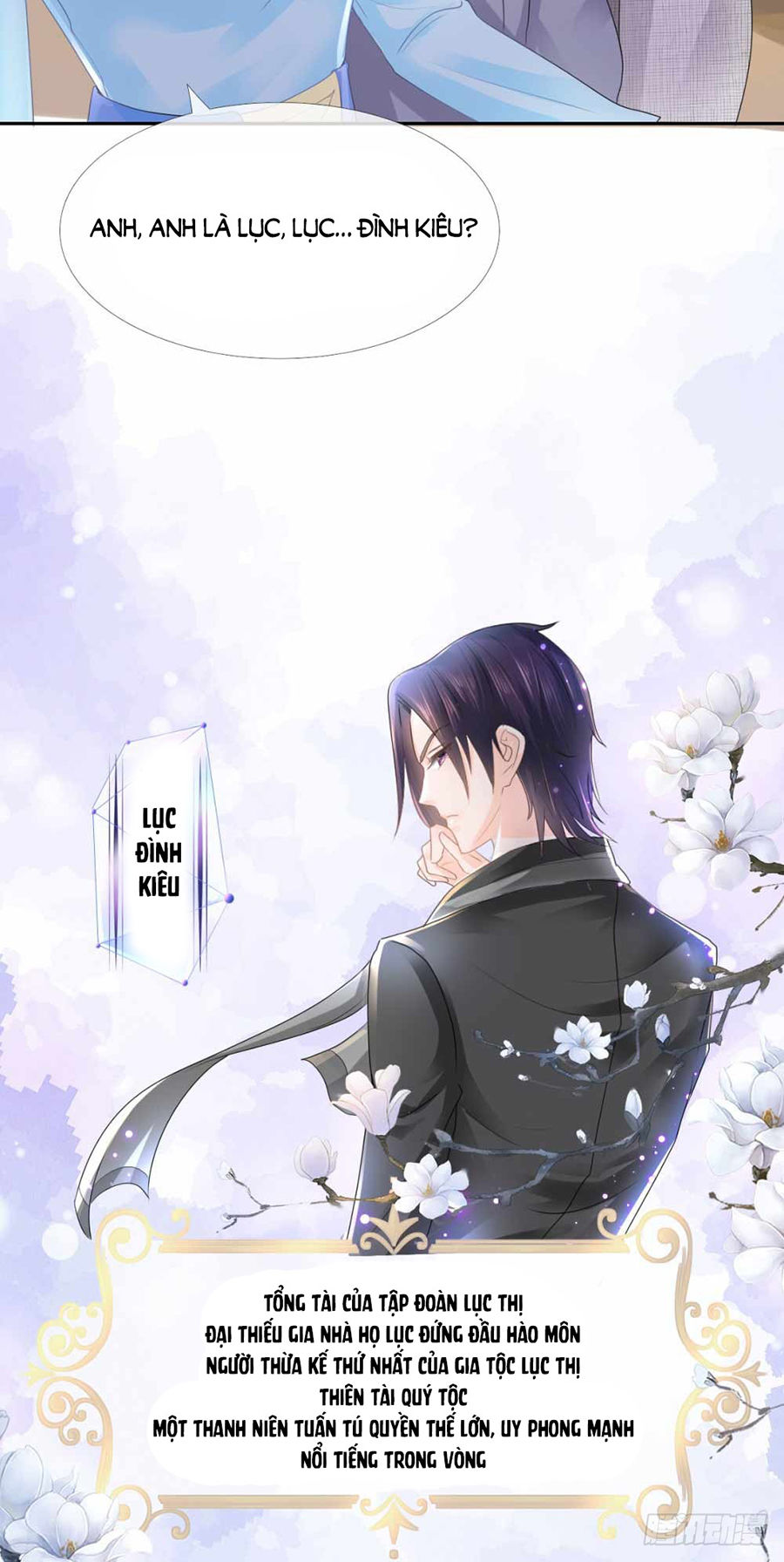 Ẩn Hôn 100%: Chọc Tức Vợ Yêu Mua Một Tặng Một Chapter 4 - Trang 2