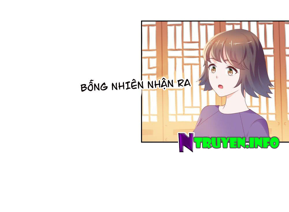 Ẩn Hôn 100%: Chọc Tức Vợ Yêu Mua Một Tặng Một Chapter 41 - Trang 2