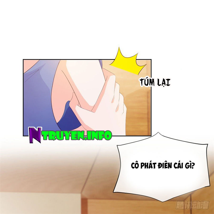 Ẩn Hôn 100%: Chọc Tức Vợ Yêu Mua Một Tặng Một Chapter 48 - Trang 2