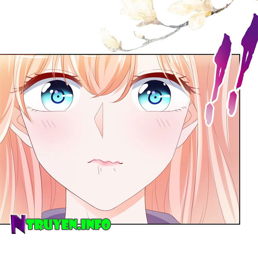 Ẩn Hôn 100%: Chọc Tức Vợ Yêu Mua Một Tặng Một Chapter 50 - Trang 2