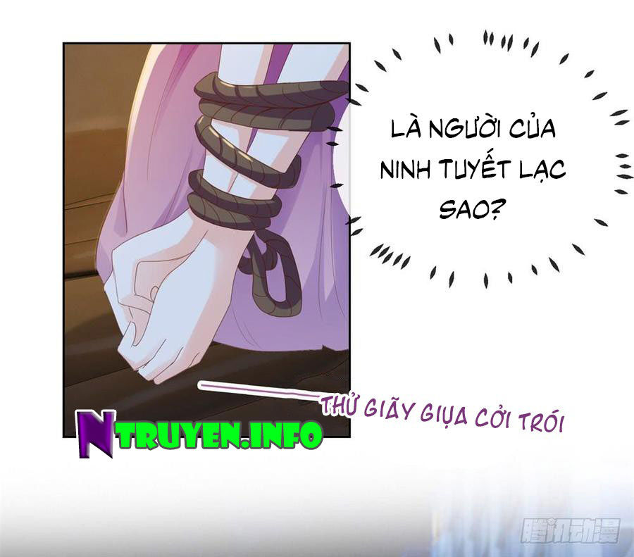 Ẩn Hôn 100%: Chọc Tức Vợ Yêu Mua Một Tặng Một Chapter 65 - Trang 2