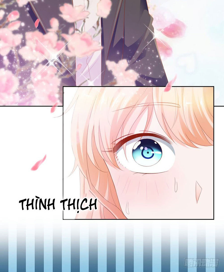 Ẩn Hôn 100%: Chọc Tức Vợ Yêu Mua Một Tặng Một Chapter 68 - Trang 2