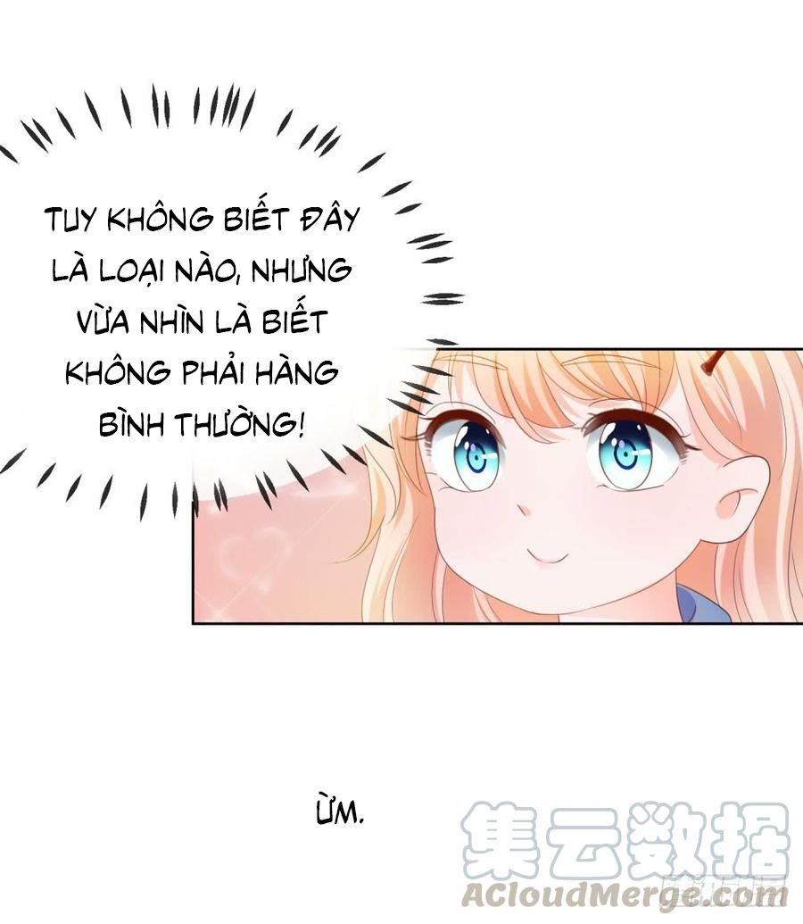 Ẩn Hôn 100%: Chọc Tức Vợ Yêu Mua Một Tặng Một Chapter 73 - Trang 2