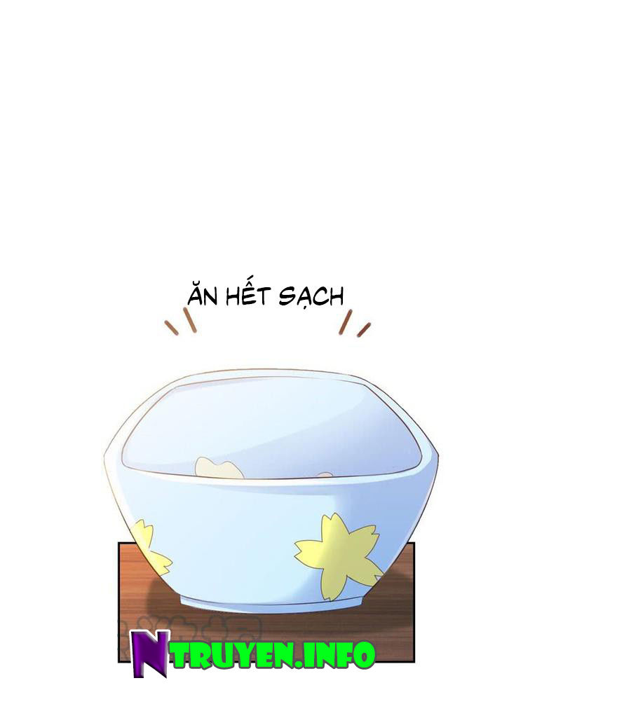 Ẩn Hôn 100%: Chọc Tức Vợ Yêu Mua Một Tặng Một Chapter 73 - Trang 2