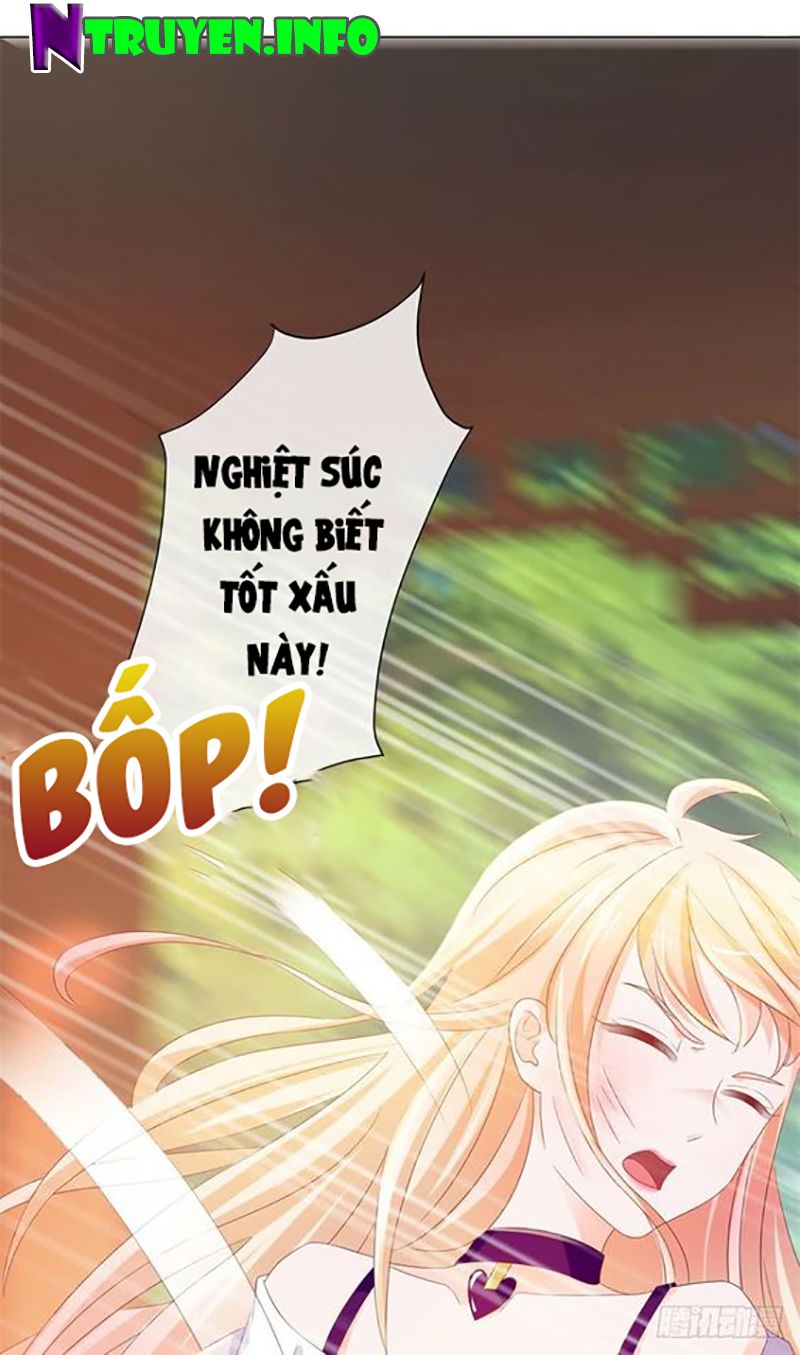 Ẩn Hôn 100%: Chọc Tức Vợ Yêu Mua Một Tặng Một Chapter 82 - Trang 2