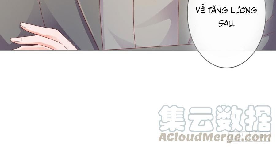 Ẩn Hôn 100%: Chọc Tức Vợ Yêu Mua Một Tặng Một Chapter 98 - Trang 2