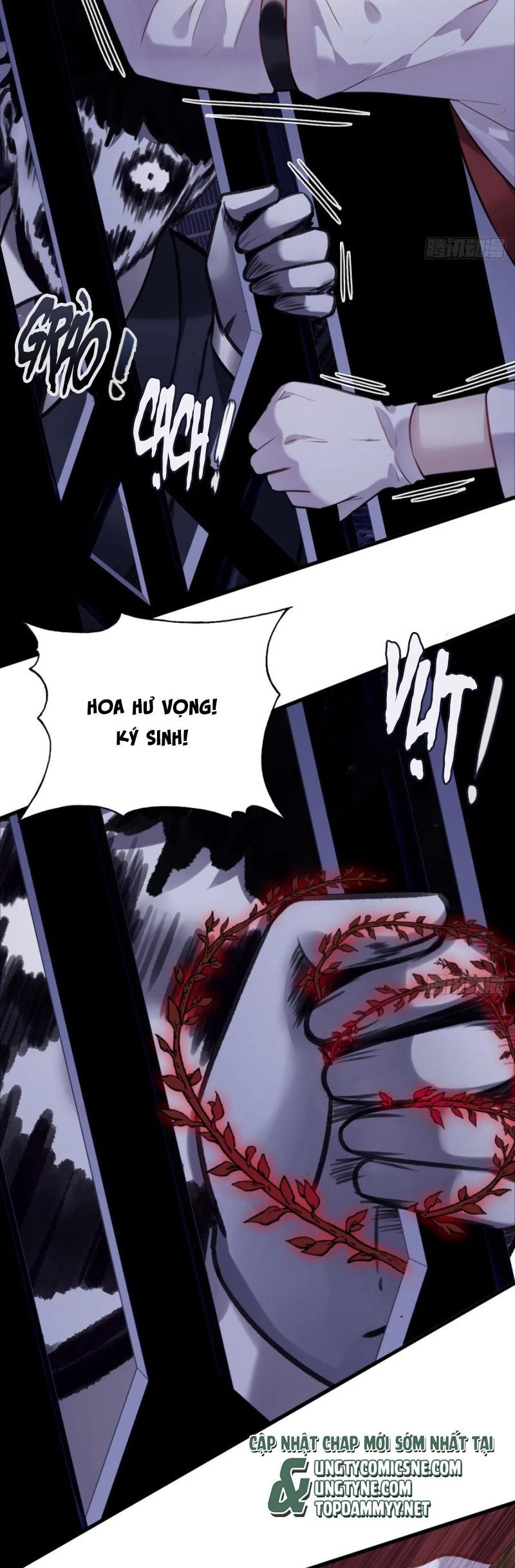 Anh Ấy Chưa Từng Rơi Xuống Chapter 117 - Trang 2