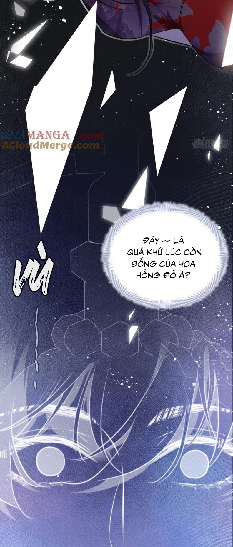 Anh Ấy Chưa Từng Rơi Xuống Chapter 119 - Trang 2
