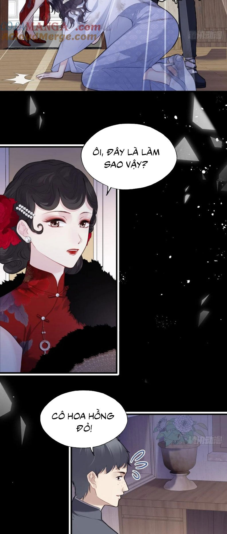 Anh Ấy Chưa Từng Rơi Xuống Chapter 119 - Trang 2