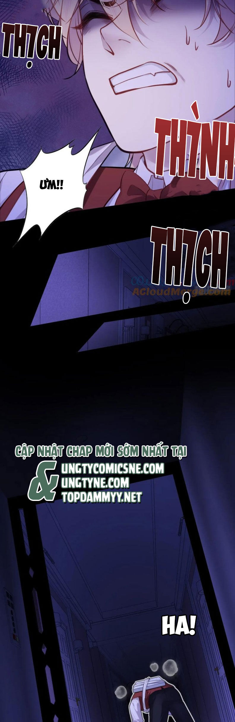 Anh Ấy Chưa Từng Rơi Xuống Chapter 121 - Trang 2