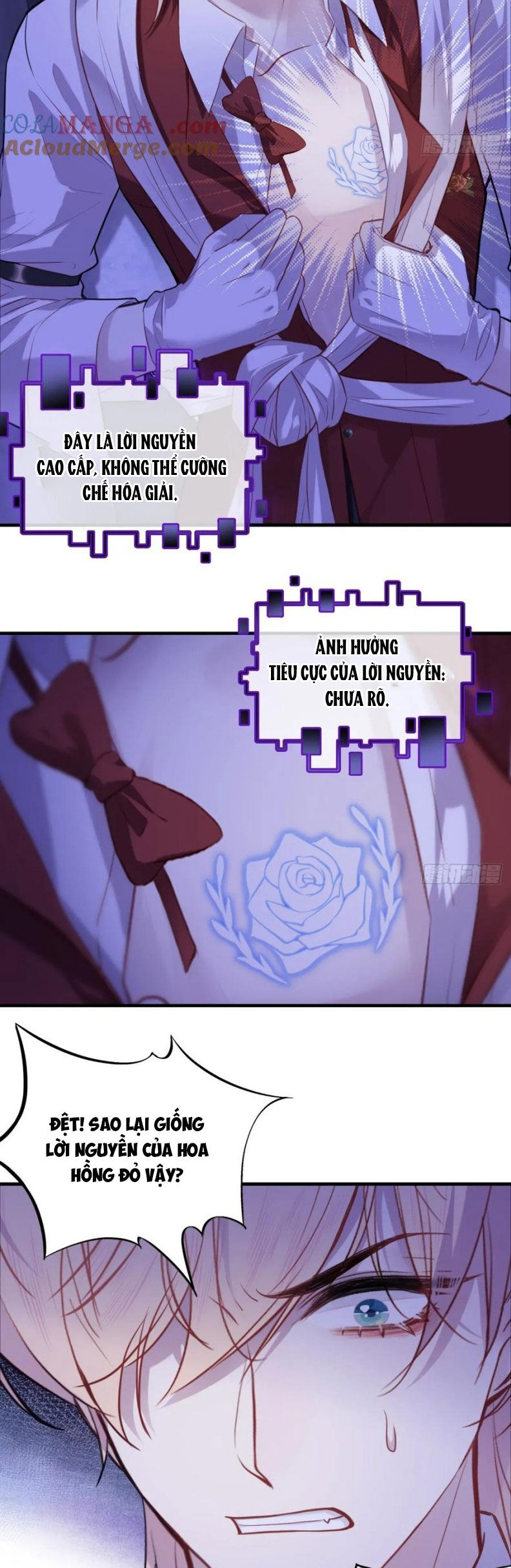 Anh Ấy Chưa Từng Rơi Xuống Chapter 121 - Trang 2